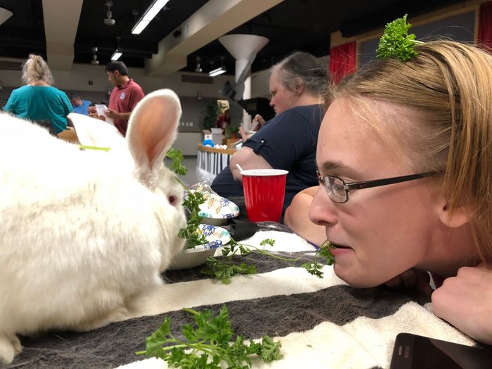 Show me your fiance and pet - 1