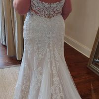 Plus Size Brides?? - 2