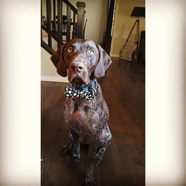 Happy Fursday!