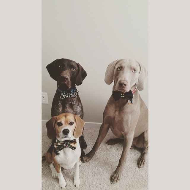 NWR - Furbaby Friday