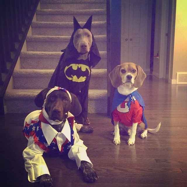 Halloween coordination (early but necessary)