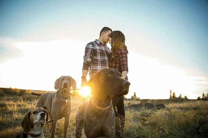 Engagement/wedding photos with pets?