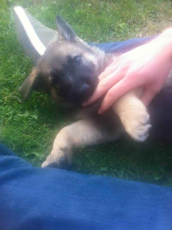I'm an aunty!