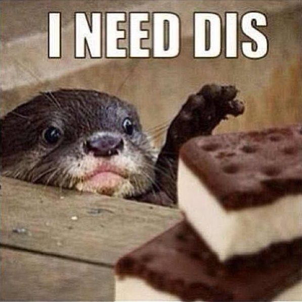 NWR - What is your favorite ice cream flavor?