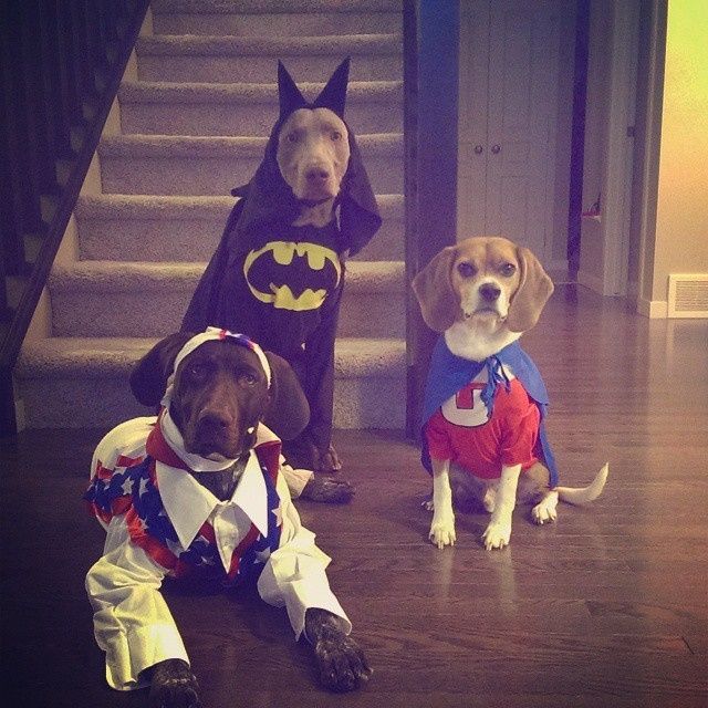 Halloween coordination (early but necessary)