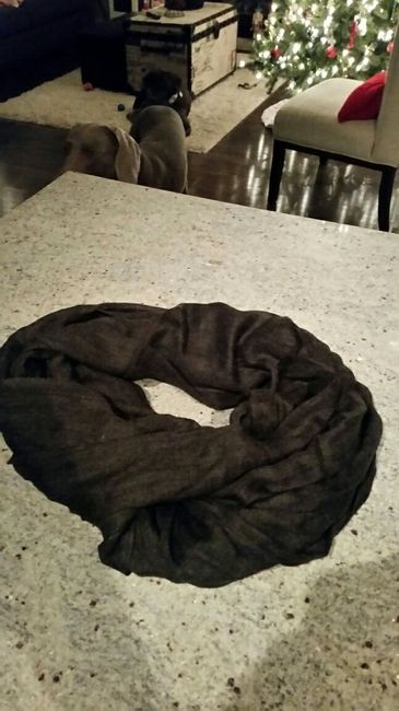 WW Secret Santa Thank You / Guessing Thread