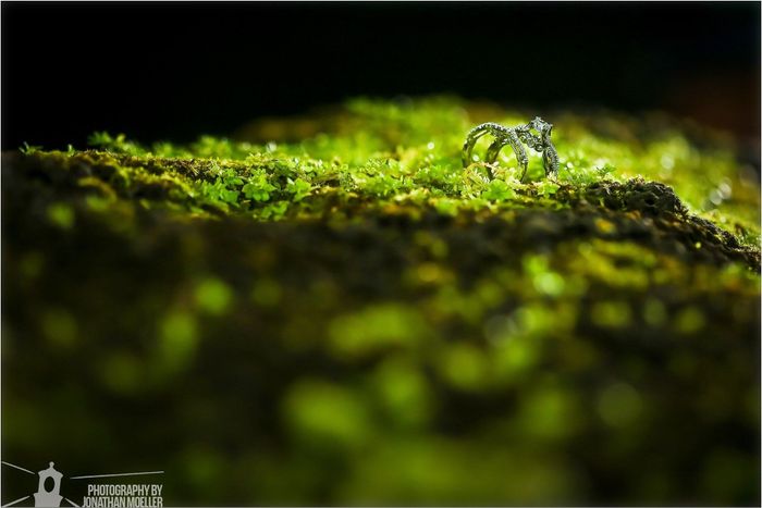 Ring Advice - Long Engagements