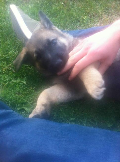 I'm an aunty!
