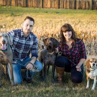 Engagement/wedding photos with pets?