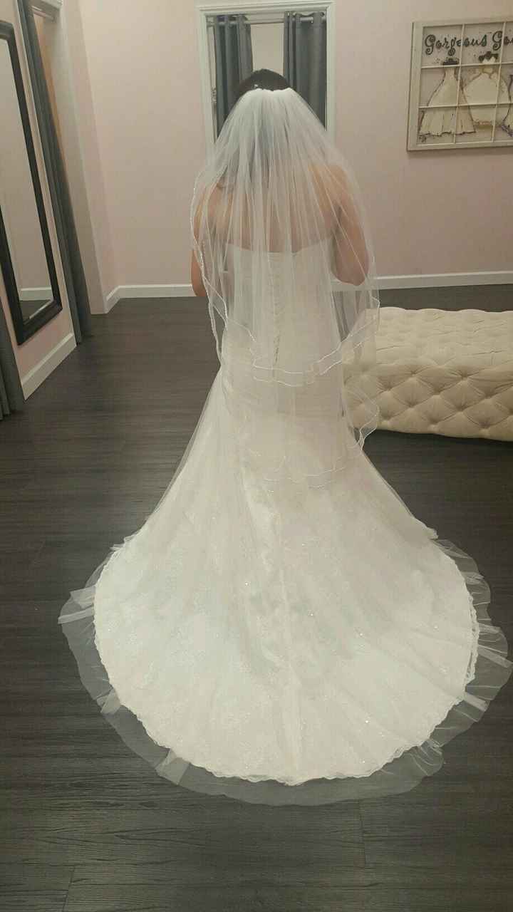 Honest opinions and thoughts