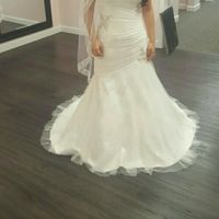 Honest opinions and thoughts