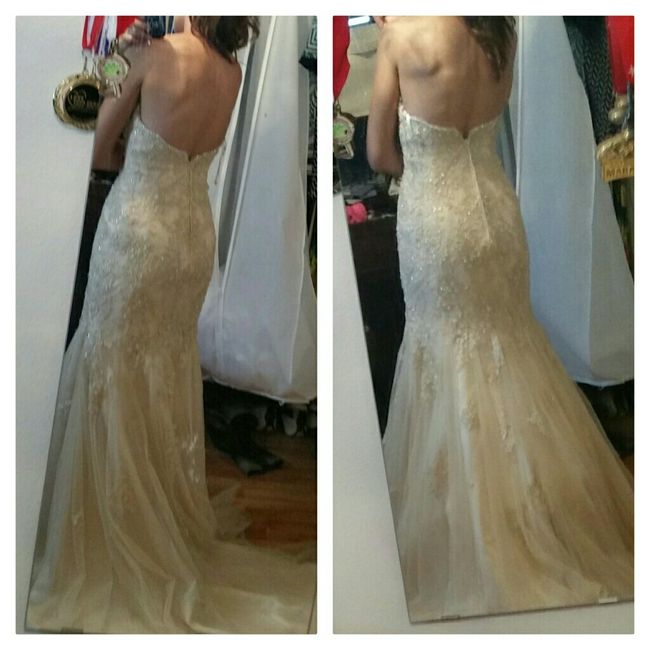 Crinoline dilemma