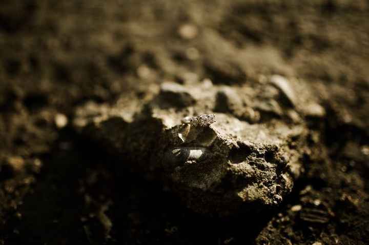 Engagement Photos Are In!!!’ - 7