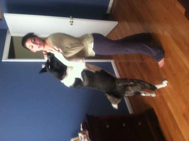 NWR: Akitas or other big dogs...