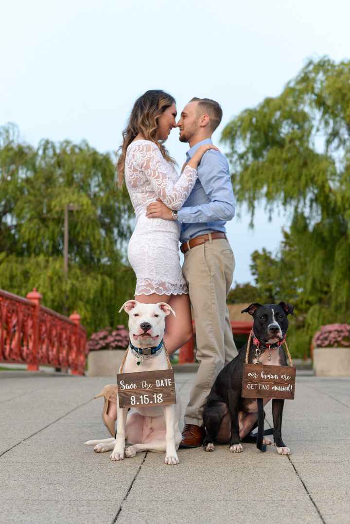 Engagement pictures are back!