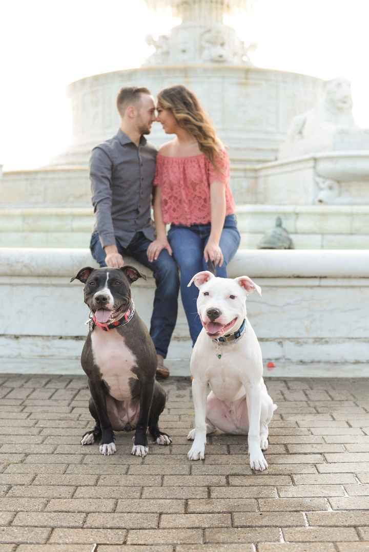 Engagement pictures are back!