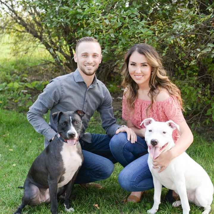 Engagement pictures are back!