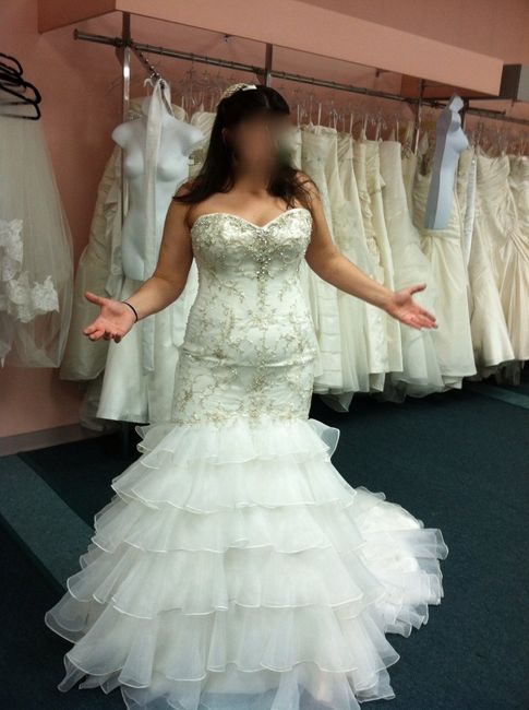 Can't decide on a dress