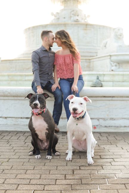 Engagement pictures are back!