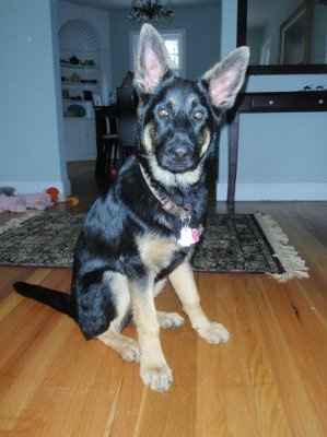 need help settling a looooong argument (NWR)