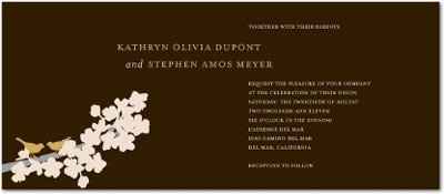 DIY Escort Cards- Which do you like best? #ed table or named table? (pics)