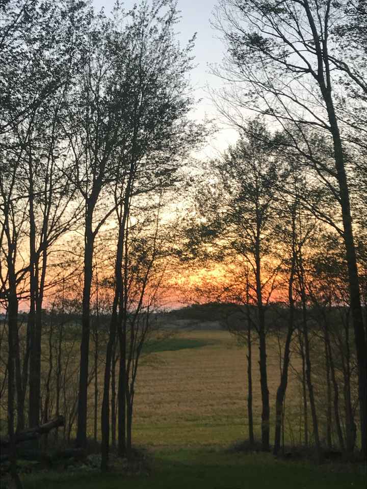 Proposing. Just the two of us or with her family there? - 1