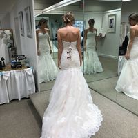 Wedding Dress Budget - 1