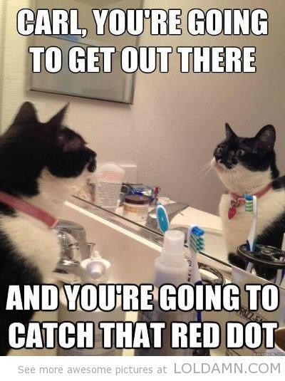 Meme your week (so far)!