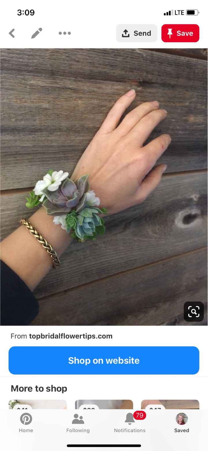 Succulent - 2