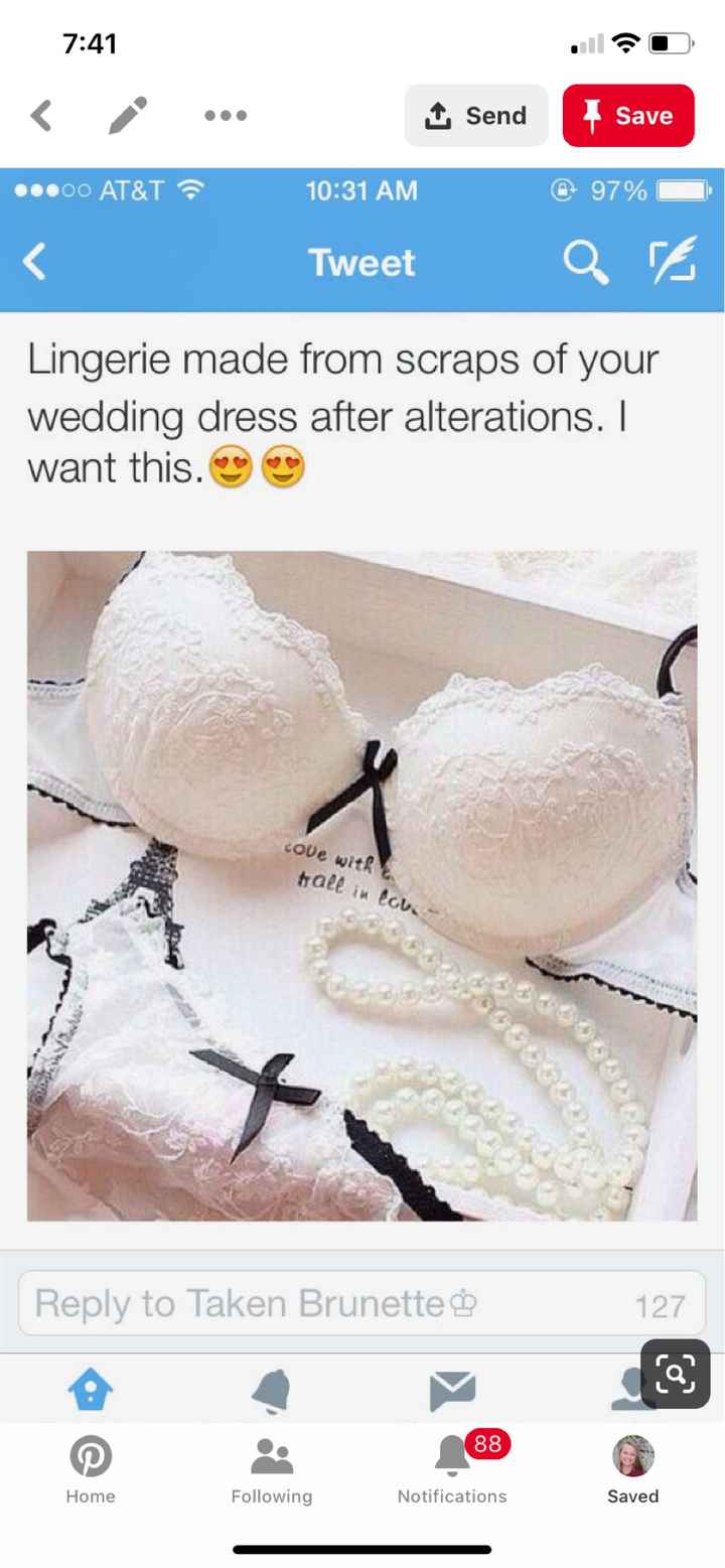 Lingerie from dress scrap? - 1