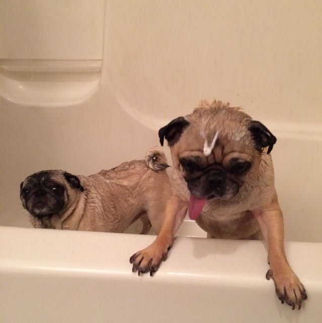 NWR- let me see your fur babies, awake and scared