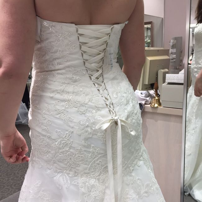 Veil or No Veil? 1