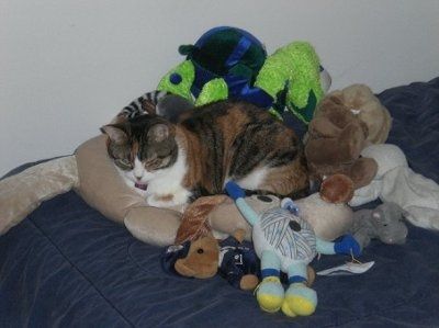 NWR - Furbabies :)