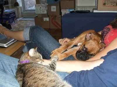 need help settling a looooong argument (NWR)