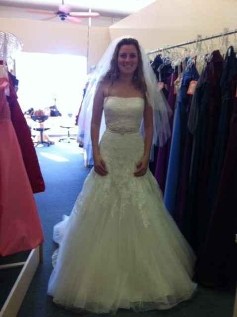 ATTENTION all brides w/a lace fit and flare gown