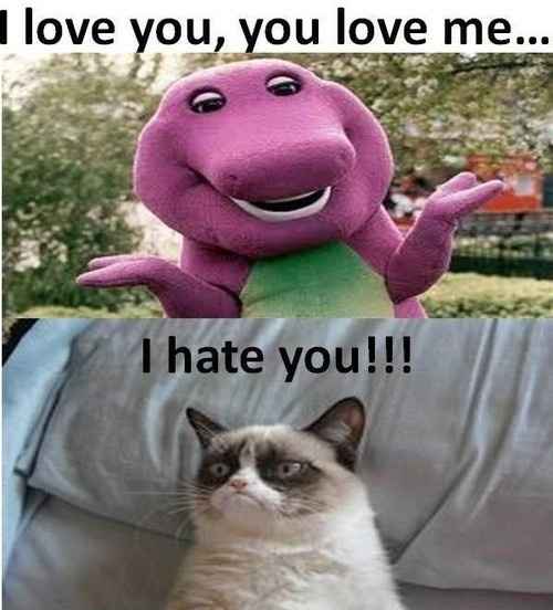 Time to Post Funny Cat Pics!