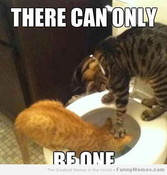 Because we could use a laugh today ...