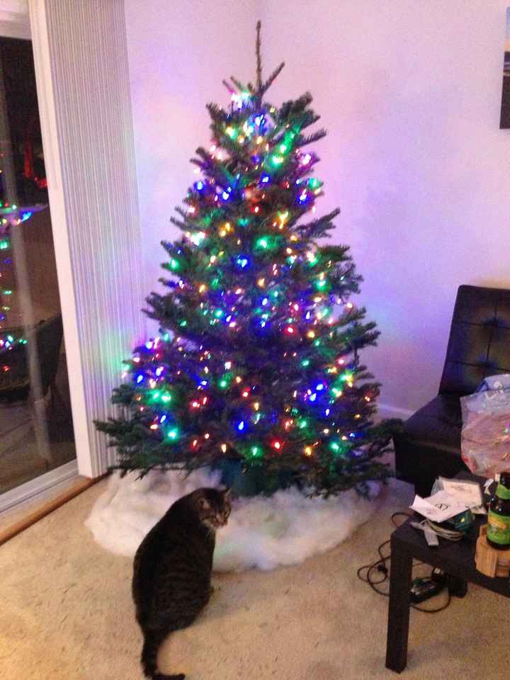 NWR- Let's see your Christmas tree!