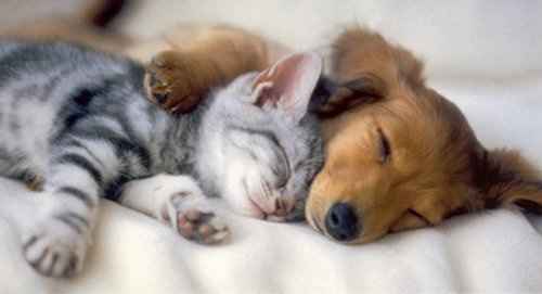 What's with all the rude people today? *Beware: Cute picture inside*