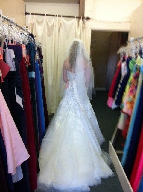 ATTENTION all brides w/a lace fit and flare gown