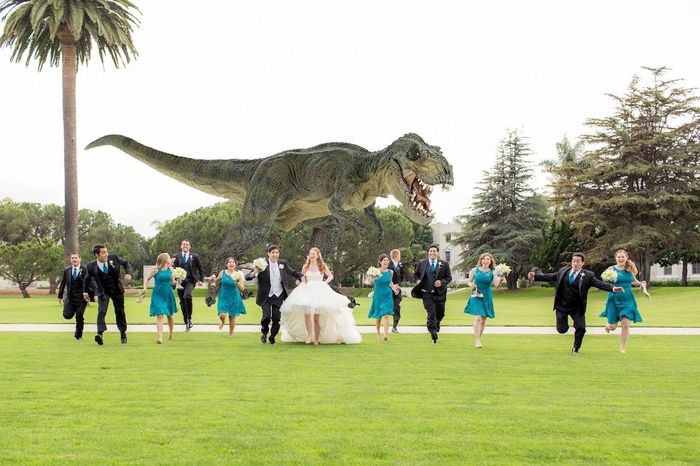 Funny Wedding Pics