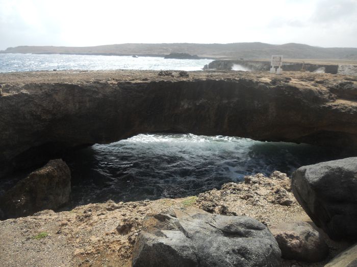 Pictures from Aruba stop!