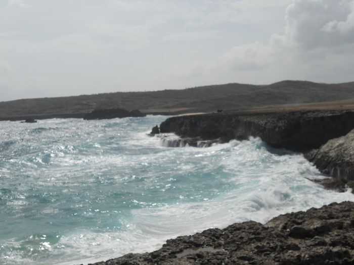 Pictures from Aruba stop!