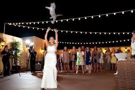 I'm having a cash bar, dollar dance, cash gift only, camo themed wedding in a park