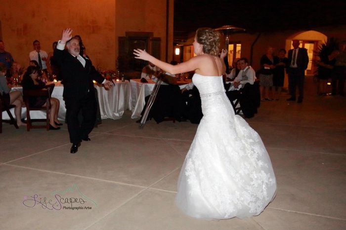 Dress Bustle