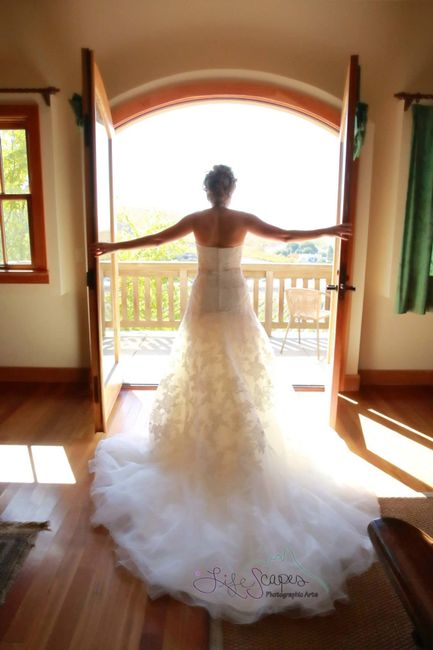 October/November Brides...let's see your dresses!