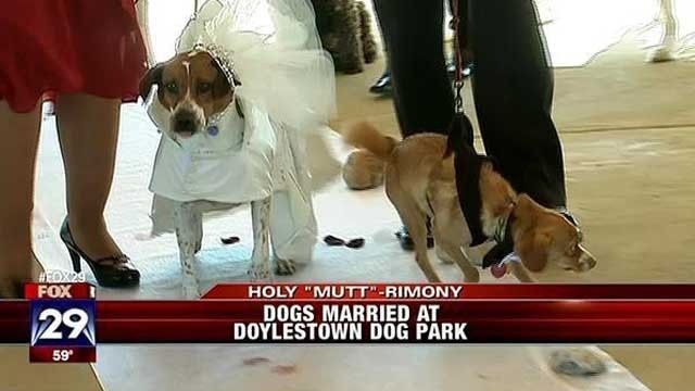 I'm having a cash bar, dollar dance, cash gift only, camo themed wedding in a park
