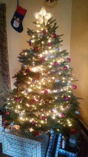NWR Show me your tree!