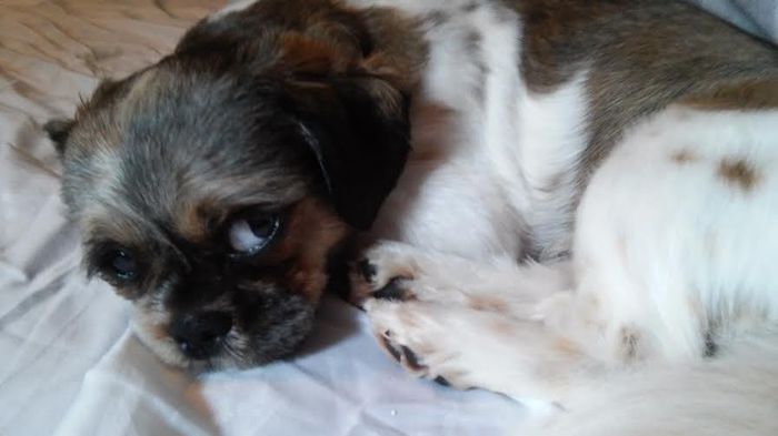 NWR- Furbaby Friday
