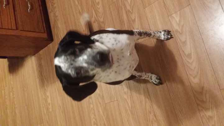 NWR- pets! We love them show me yours :)